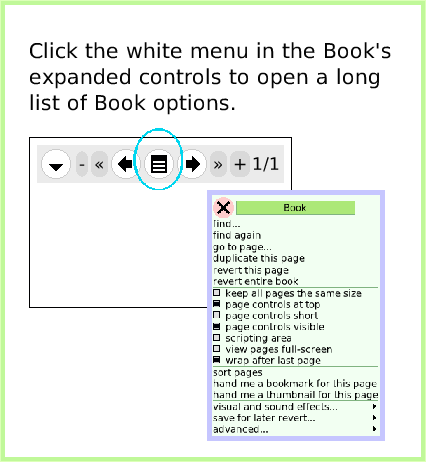BooksExpandedControls, page 3. Click the white menu in the Book's expanded controls to open a long 
list of Book options.  