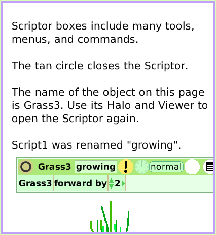 MenuScriptorIconsSet, page 2. Scriptor boxes include many tools, menus, and commands.

The tan circle closes the Scriptor.

The name of the object on this page is Grass3. Use its Halo and Viewer to open the Scriptor again.

Script1 was renamed 