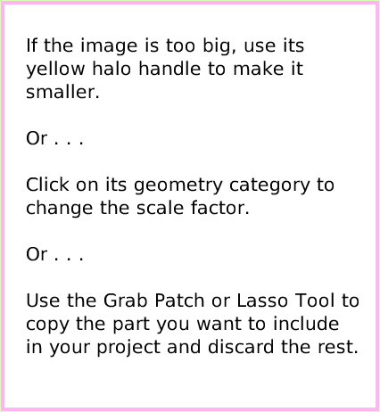 ObjectCatDigitalImages, page 3. If the image is too big, use its yellow halo handle to make it smaller.

Or . . . 

Click on its geometry category to change the scale factor.

Or . . .

Use the Grab Patch or Lasso Tool to copy the part you want to include in your project and discard the rest.  