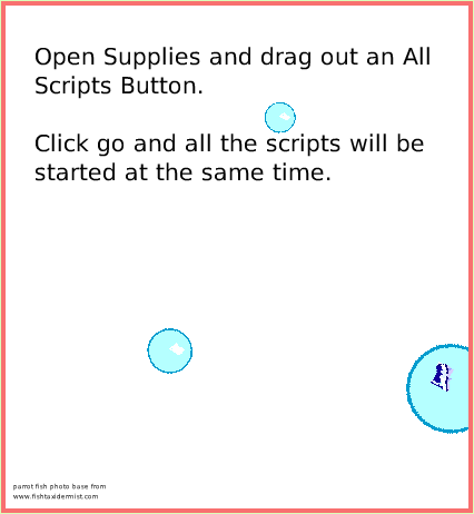 SuppliesAllScripts, page 4. parrot fish photo base from
www.fishtaxidermist.com.  Open Supplies and drag out an All Scripts Button.

Click go and all the scripts will be started at the same time.  